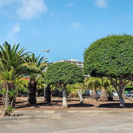 Estudio Los Cristianos 15 * Los Cristianos (Tenerife)