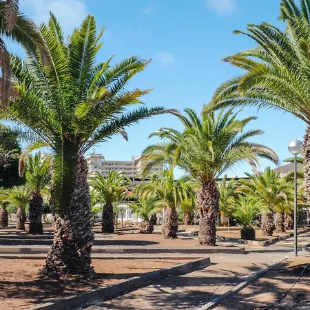 Estudio Los Cristianos 15